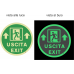 adesivo fotoluminescente calpestabile uscita sicurezza adesivo fotoluminescente calpestabile uscita sicurezza 5